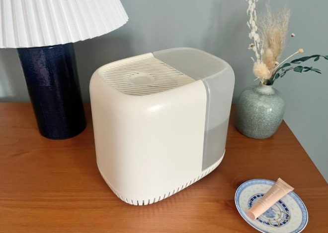 Apakah Pelembab Kanopi Layak? Ulasan Jujur Saya Setelah Menggunakannya Selama Setahun