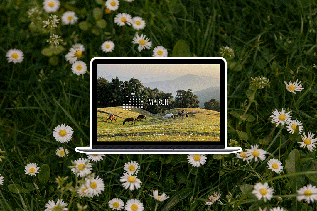 March 2026 Tech Backgrounds: Free, Downloadable Wallpapers!